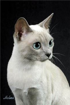 0004020216_009_20170623110434267.jpg?typ