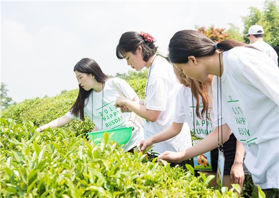 전통차와 함께하는 몸과 마음의 힐링여행기, 80년 전통의 보향다원을 방문하다