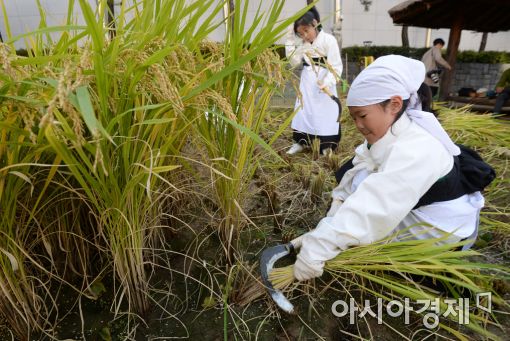 [포토]오늘은 내가 농부