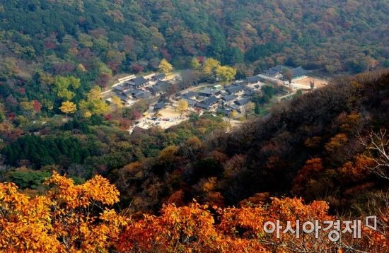 해남 대흥사, 전남 선차문화 국제교류회 개최