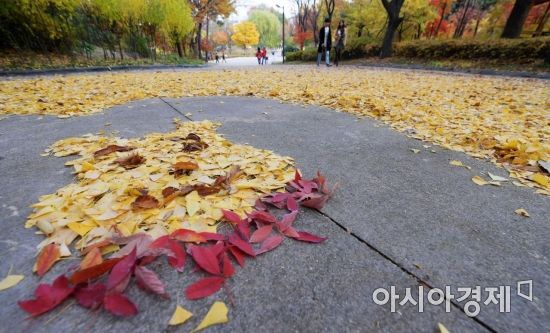 [포토]예술이 된 낙엽