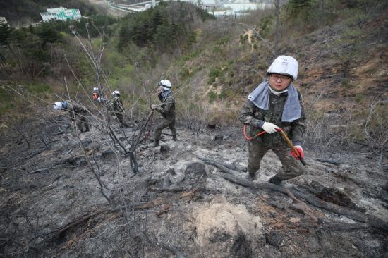 [강원산불] 저녁 시간부터 강원 산불 지역에 단비…진화 작업에 큰 힘