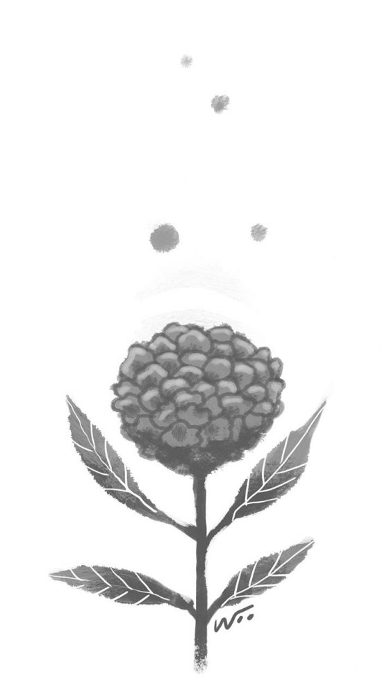 [오후 한 詩] 취산화서(聚散花序)/송재학