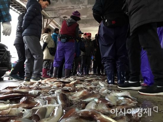 [사라진 오징어]①중국어선 1500㎞ 원정 쌍끌이에 울릉도는 씨 말랐다