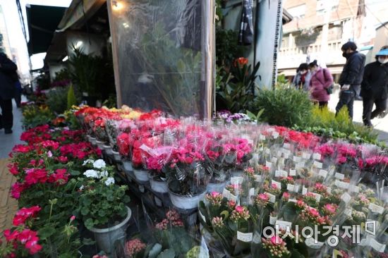 [포토]봄 향기 가득한 꽃시장 나들이
