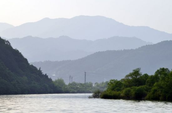 [조용준의 여행만리]숲터널 끝의 푸른빛, 치유로 가는 이정표
