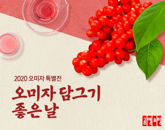 공영쇼핑, ‘오미자 담그기 좋은 날’ 특집 방송