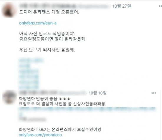 디지털 성착취 우려 vs 성산업 새 대안 성인용 SNS 온리팬스, 어떻게 생각하십니까