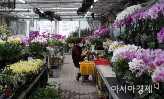 [포토] 손님 없는 화원
