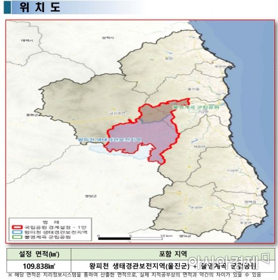 왕피천하늘담야영장