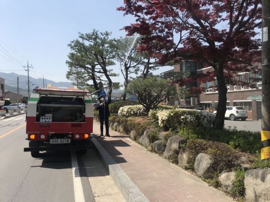 담양군, 미국흰불나방 등 확산 방지 집중 방제 나서