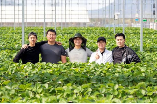 원격으로 딸기묘목 4만 주 관리 포천 딸기힐링팜 안해성 대표