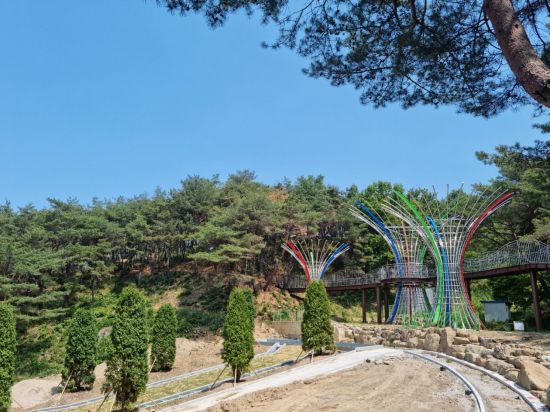 구례 지리산정원 소나무숲 하늘정원 산책길 걸어보세요