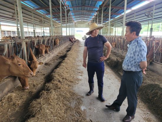 합천서 역대 최고 비싼 소, 1㎏ 3만8000원 넘겼다 … 합천황토 한우, 고령축산물공판장 최고 경락단가 기록