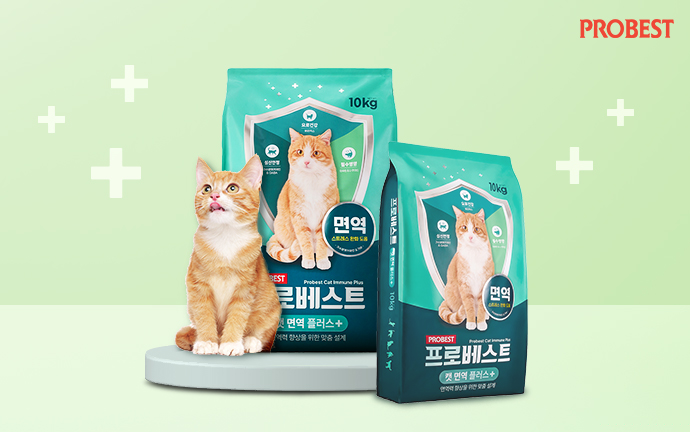 우리와주식회사 프로베스트, 고양이 면역력 케어 위한 ‘프로베스트 캣 면역플러스’ 출시