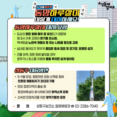 핫플 성수동 갔다가 소름 쫙…동양하루살이 공습