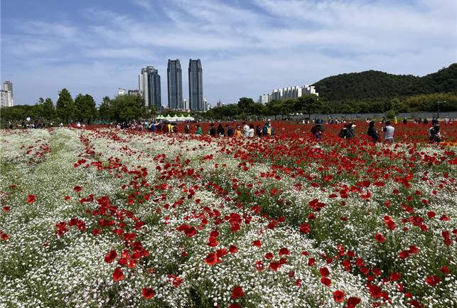 태화강 국가정원 봄꽃축제