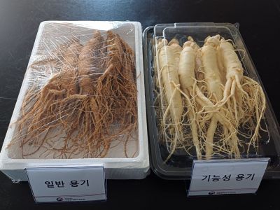 [글로벌스타 K-푸드]③신기술로 신선도 UP…K-농산물 해외수출 박차