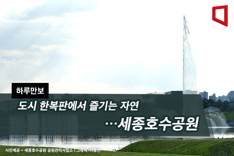 [하루만보]도시 한복판에서 즐기는 자연…세종호수공원