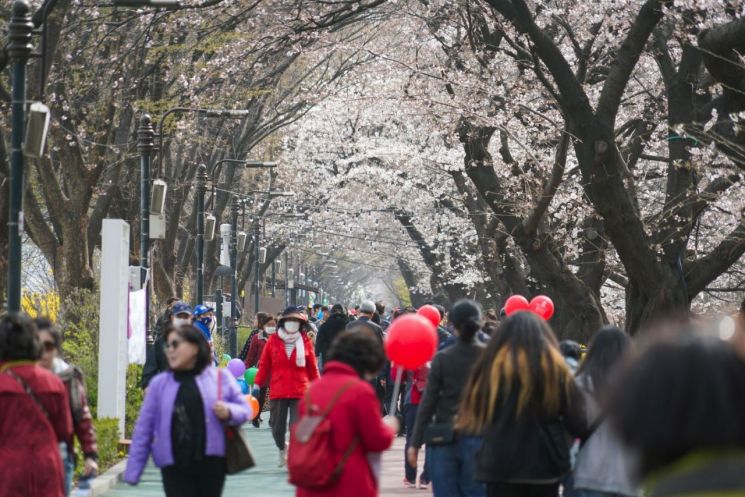 봄꽃 축제 꽃 피우리 개최