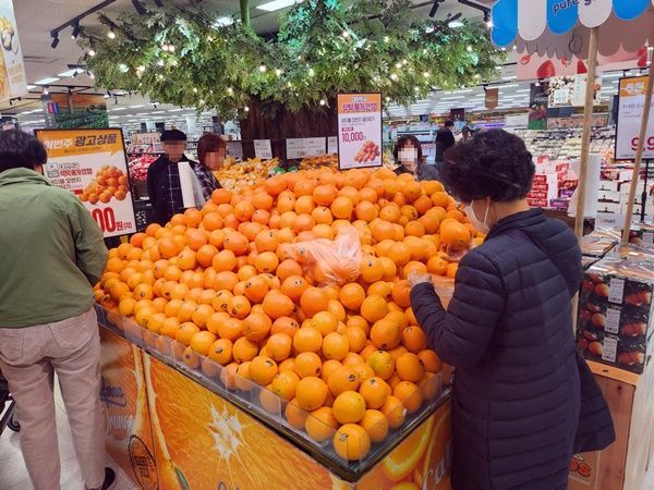 [르포]사과보다 망고·오렌지…과일 직수입에 붐비는 마트, 한산한 전통시장