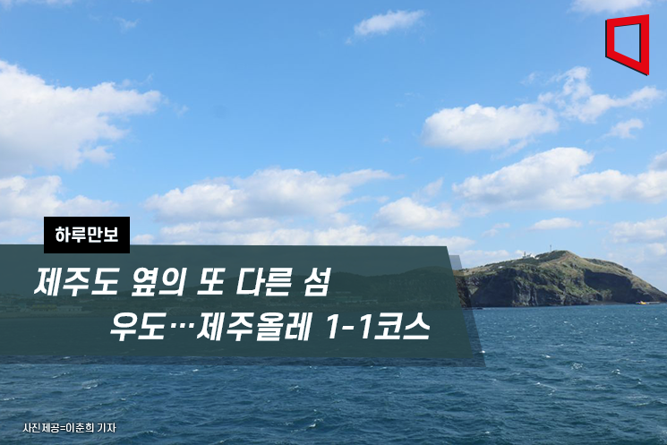 [하루만보]제주도 옆의 또 다른 섬 우도…제주올레 1-1코스