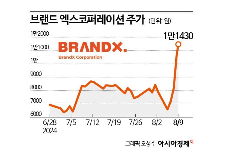 브랜드엑스코퍼레이션 깜짝 실적으로 시총 3000억 돌파