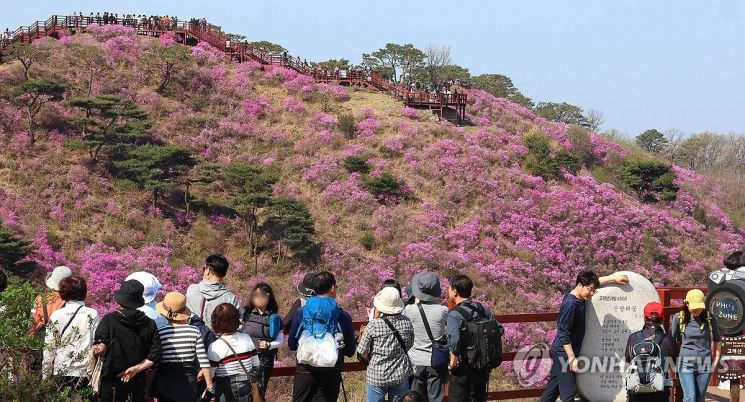인천 강화 고려산 진달래축제 취소…산불 예방활동에 집중