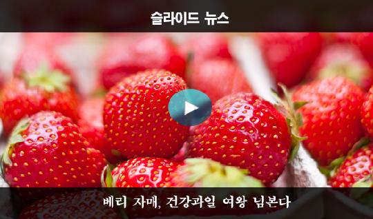 베리 자매, 건강과일 여왕 넘본다