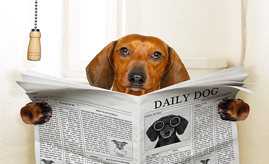 0000033939_001_20171208100710201.jpg?typ