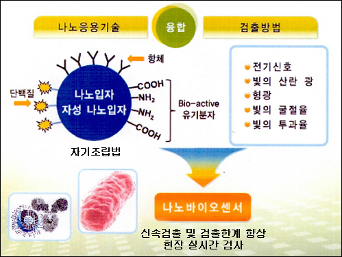 “식중독균, 나노기술로 미리 알아 낸다”