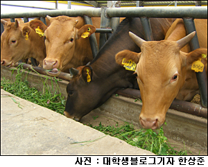 품질 좋은 한우와 젖소, 개량 노하우 엿보기