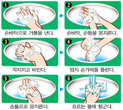 집단식중독 예방을 위한 노인복지시설 집단급식소 현장 점검