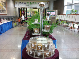 약초 향기 그윽한 ‘전통약초 전시회’ 막 올라