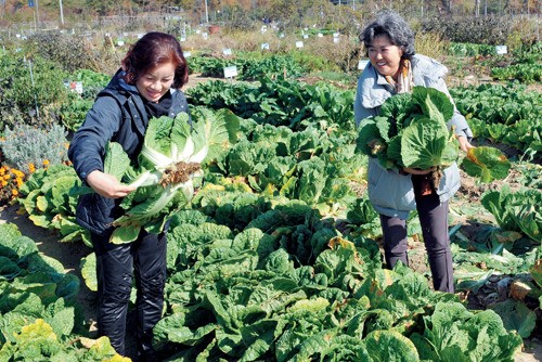 텃밭에 각종 채소…“농사꾼 다 됐어요”