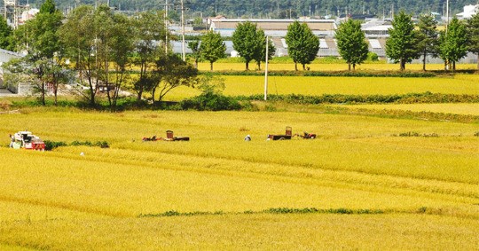 쌀·고추·마늘 등 ‘밥상’ 농축수산물 지켰다
