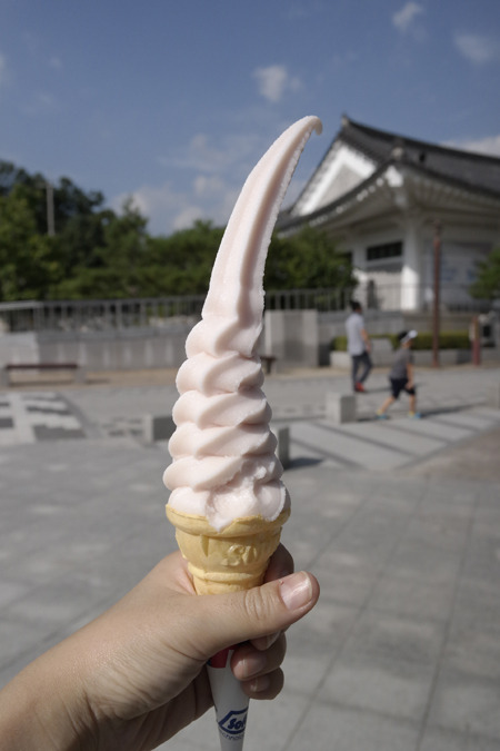 딸기밭이 딸기 아이스크림 가게로!