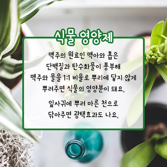김빠진 맥주의 무한변신 ‘놀라워’