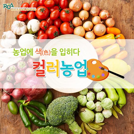 색다른 농업, 컬러농업을 아시나요?