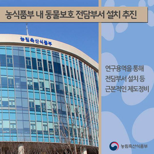 반려동물, 보호해야 할 소중한 생명입니다