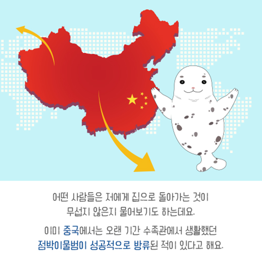 집으로 가는 길, 점박이물범 복돌이의 여정