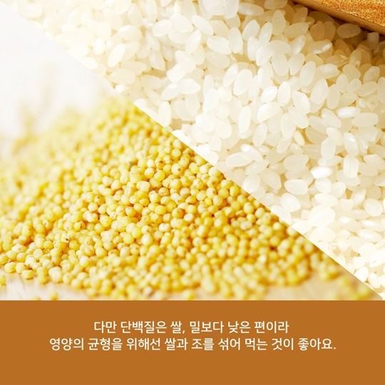알고 먹으면 더 맛있는 조!