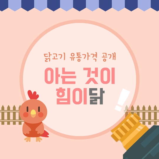 ‘아는 것이 힘이닭!’…닭고기 유통가격 공개