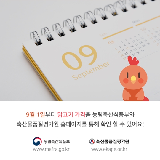 ‘아는 것이 힘이닭!’…닭고기 유통가격 공개