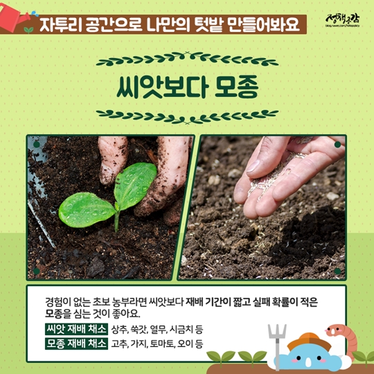 겨울에도 싱싱하게! 우리집 베란다 텃밭 가꾸기