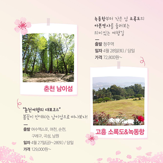 ‘봄바람 휘날리며~’ 인생샷 남겨줄 기차 여행지 TOP 8
