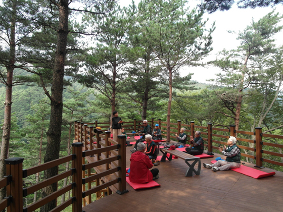 우리나라 산림 역사 보여주는 휴양과 치유의 숲