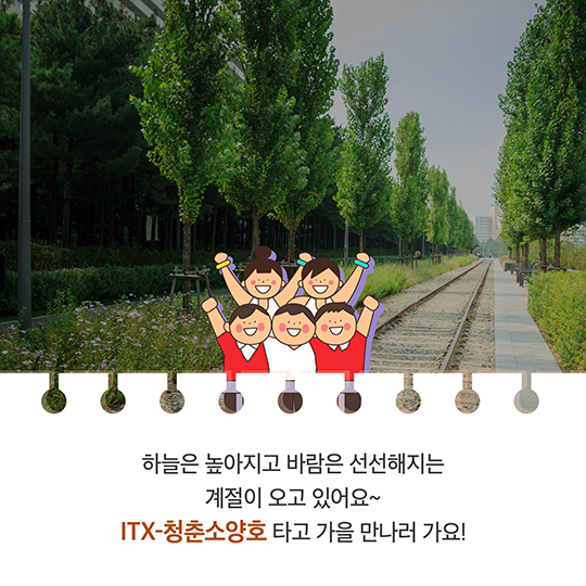 ‘청춘 소양호’ 타고 가을로 떠나볼까?