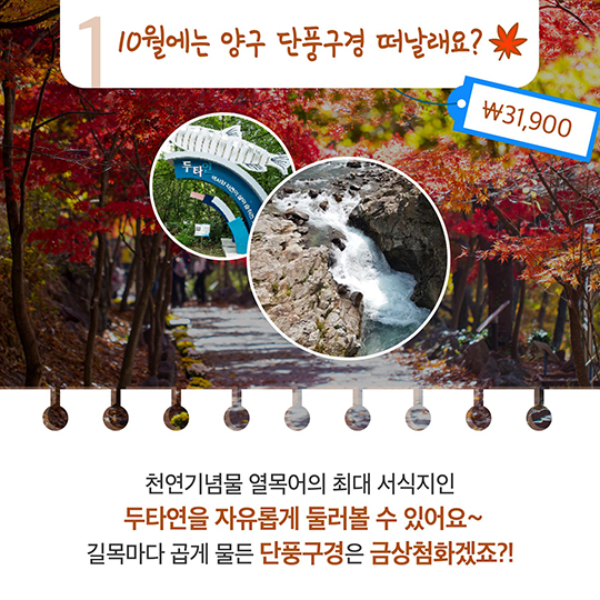 ‘청춘 소양호’ 타고 가을로 떠나볼까?