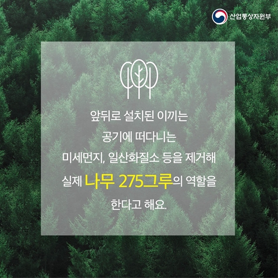 식물을 세로로 심는다고요?